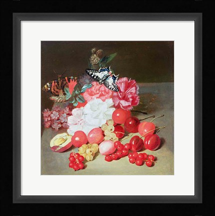 Framed Still Life with Butterflies Print