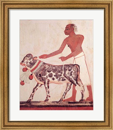 Framed Peasant leading a cow to sacrifice Print