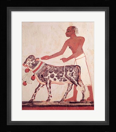 Framed Peasant leading a cow to sacrifice Print