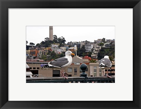 Framed San Francisco Seen From the Bay Print