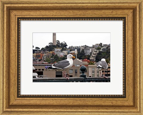 Framed San Francisco Seen From the Bay Print