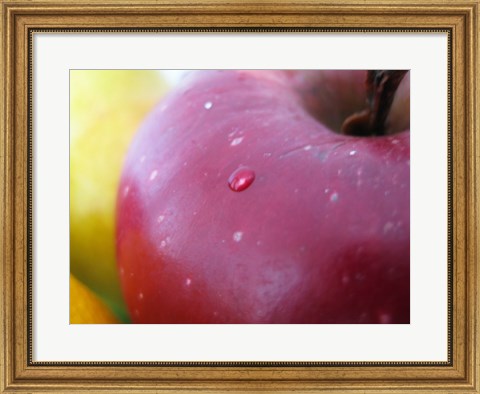 Framed Apple Closeup Print