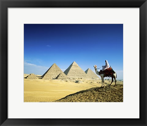 Framed Man riding a camel near the pyramids, Giza, Egypt Print