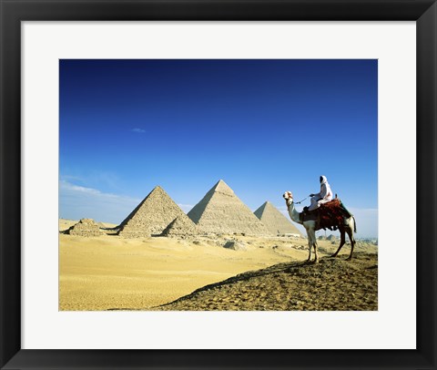 Framed Man riding a camel near the pyramids, Giza, Egypt Print