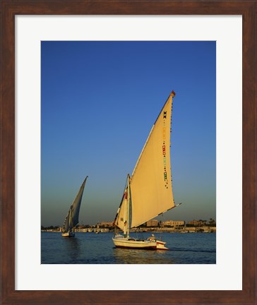 Framed Sailboats sailing in a river, Nile River, Luxor, Egypt Print