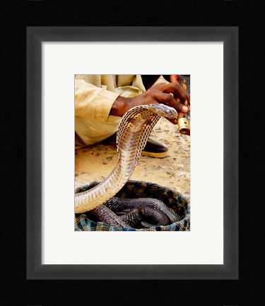 Framed Cobra in Basket Print