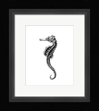 Framed Seahorse Print