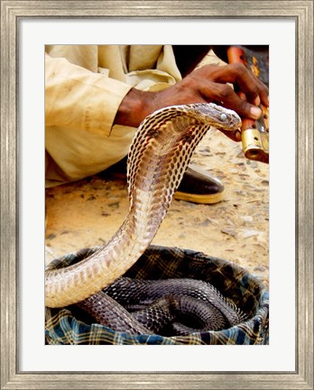 Framed Snake in a Basket Print