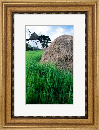 Framed Traditional windmill in a field, Tacumshane Windmill, Tacumshane, Ireland Print