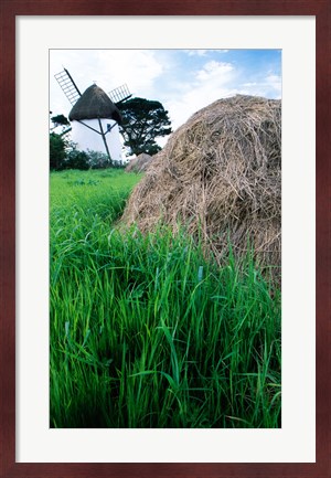 Framed Traditional windmill in a field, Tacumshane Windmill, Tacumshane, Ireland Print