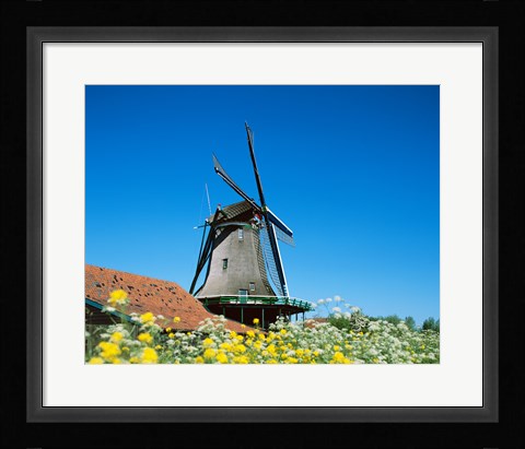 Framed Windmill, Zaanse Schans, Netherlands In Flowers Print