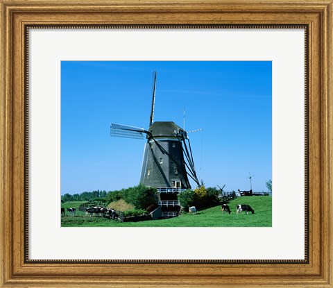 Framed Windmill and Cows, Wilsveen, Netherlands Photograph Print