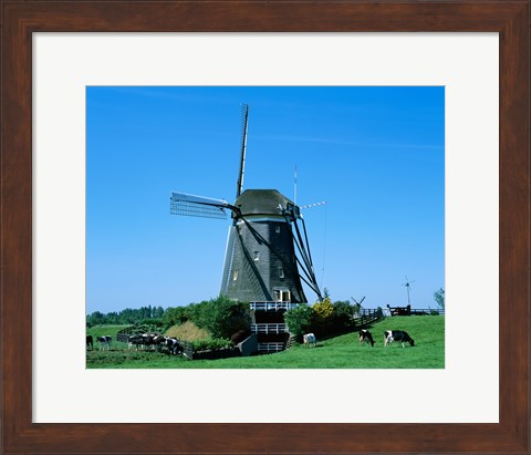 Framed Windmill and Cows, Wilsveen, Netherlands Photograph Print
