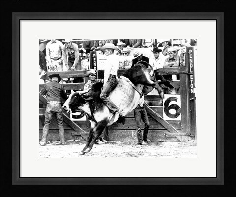 Framed Side profile of a cowboy riding a bull at a rodeo Print