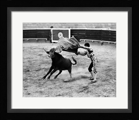 Framed Matador fighting with a bull Print