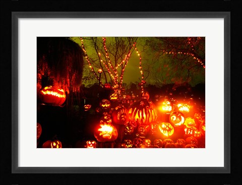 Framed Roger Williams Park Zoo, Rhode Island Print