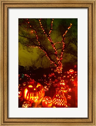 Framed Jack o' lanterns lit up at night, Roger Williams Park Zoo, Providence, Rhode Island, USA Print