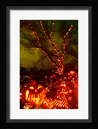 Framed Jack o' lanterns lit up at night, Roger Williams Park Zoo, Providence, Rhode Island, USA Print