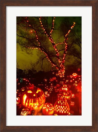 Framed Jack o&#39; lanterns lit up at night, Roger Williams Park Zoo, Providence, Rhode Island, USA Print