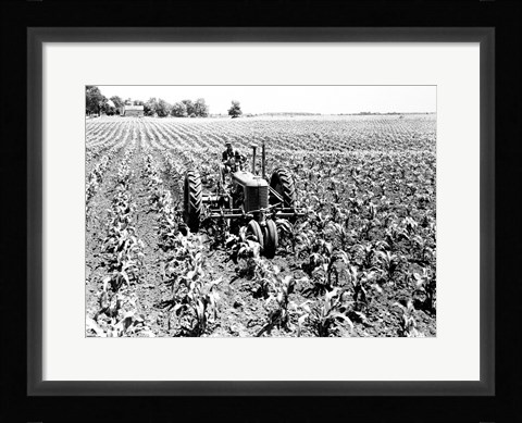 Framed Farmer Driving Tractor in Field Print