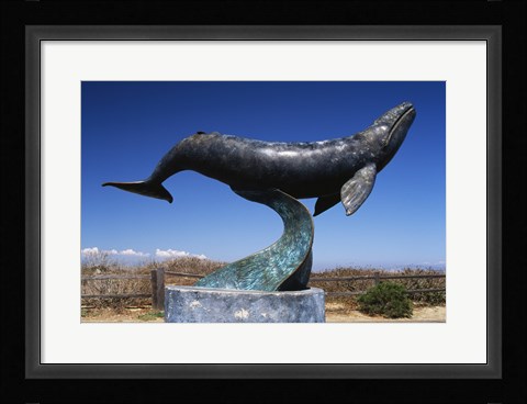 Framed Gray Whale Statue Cabrillo National Monument California USA Print