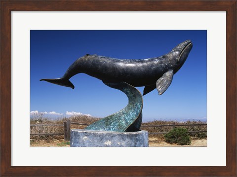Framed Gray Whale Statue Cabrillo National Monument California USA Print