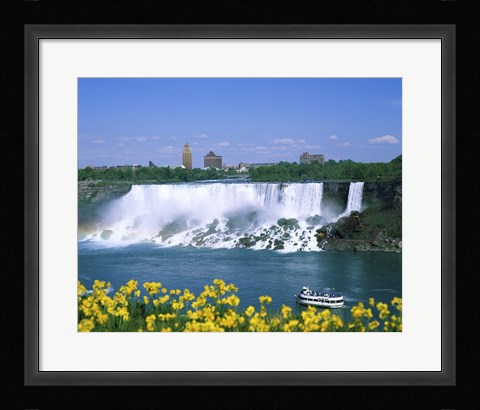 Framed Flowers in front of a waterfall, American Falls, Niagara Falls, New York, USA Print