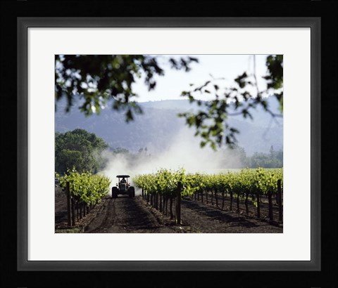 Framed Tractor in a field, Napa Valley, California, USA Print