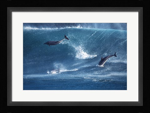 Framed Dolphins Catching A Wave Print