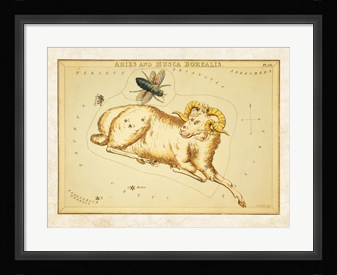 Framed Aires and Musca Borealis Constellation Print