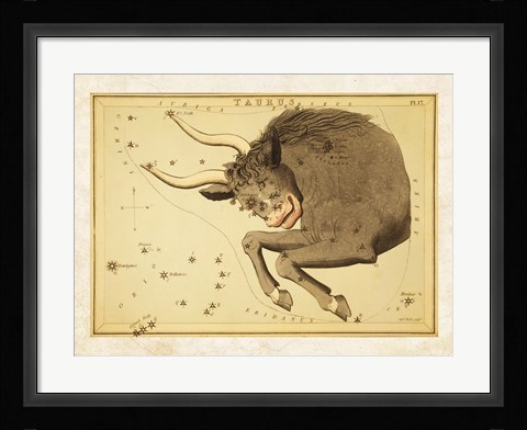 Framed Taurus Zodiac Sign Print