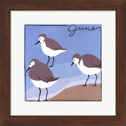 Framed Avian June Print