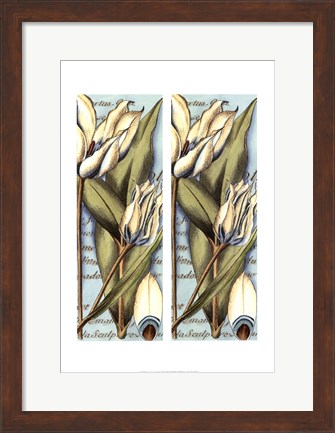 Framed 2up French Tulip II Print