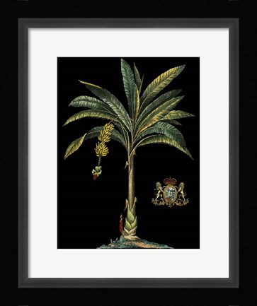 Framed Palm &amp; Crest on Black I Print