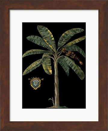 Framed Palm &amp; Crest on Black II Print