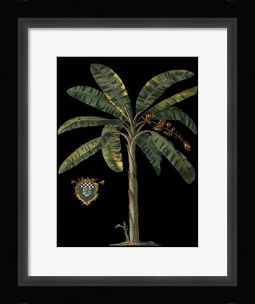 Framed Palm &amp; Crest on Black II Print