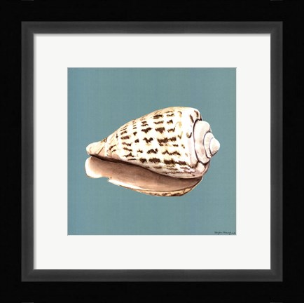Framed Shell on Aqua II Print