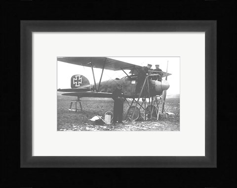 Framed Albatos D.III Print