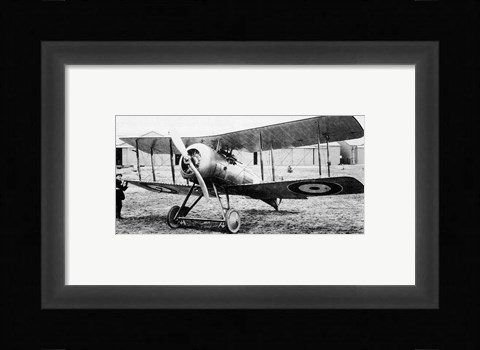 Framed Gloster Nightjar Print