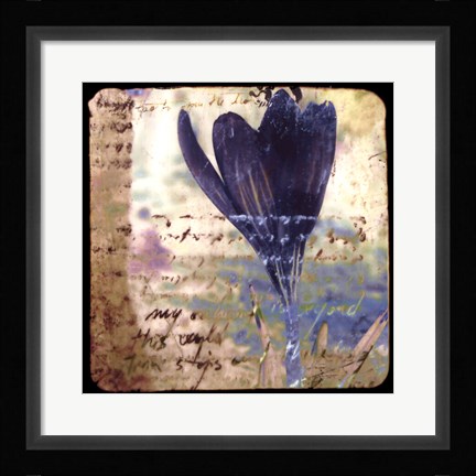 Framed Blooming Purple I Print