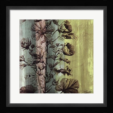 Framed Painted Botanical II Print