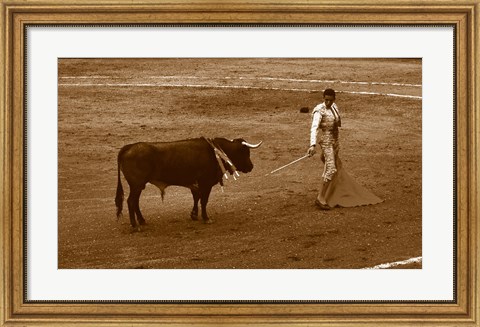 Framed Matador and Bull Print