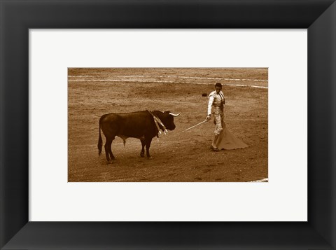 Framed Matador and Bull Print