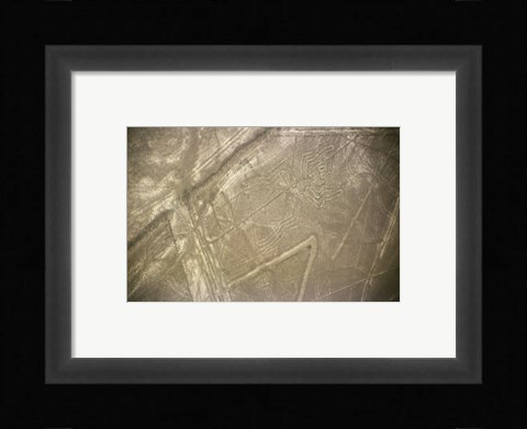 Framed Nazca Lines Symbol Print