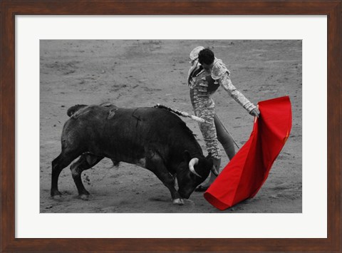 Framed Red Matador II Print