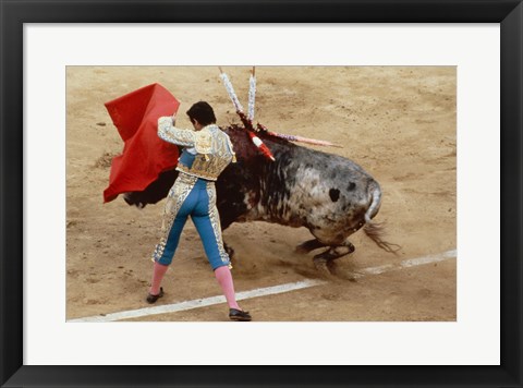 Framed Matador fighting a bull, Plaza de Toros, Ronda, Spain Print