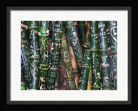 Framed Bamboo Graffiti Print