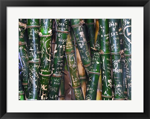 Framed Bamboo Graffiti Print