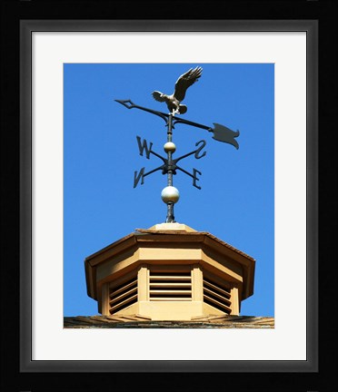 Framed Weathervane Print
