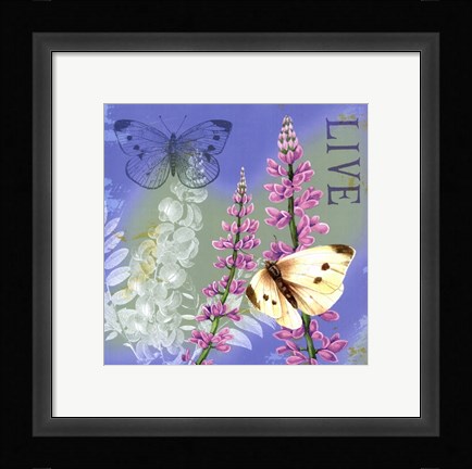 Framed Butterflies Inspire I Print